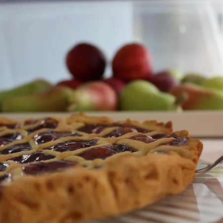 American 벨레지아아지마리나