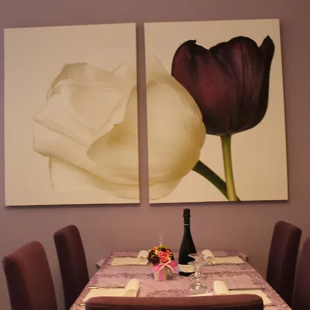 American 벨레지아아지마리나