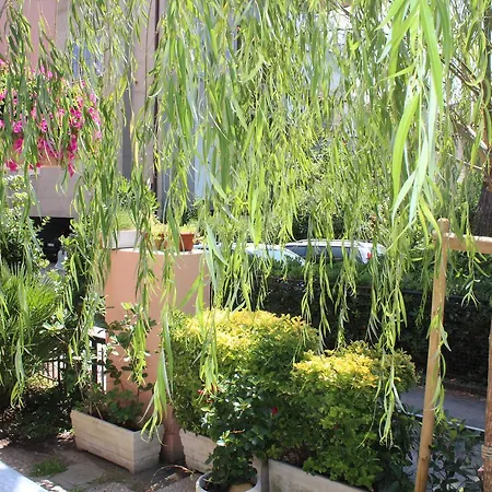 American Hotel Bellaria-Igea Marina