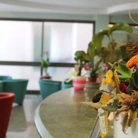 American Bellaria-Igea Marina