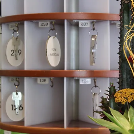 Отель American 3*