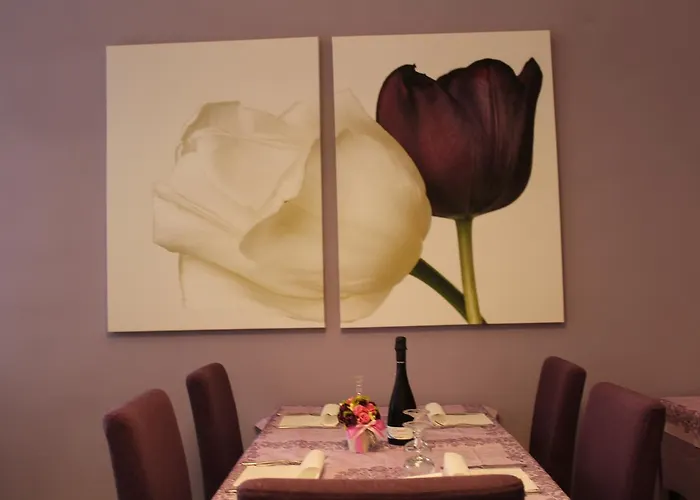 American Bellaria-Igea Marina