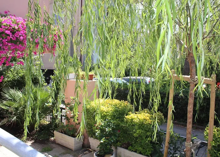 American Hotel Bellaria-Igea Marina